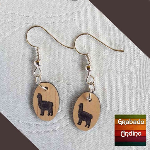 [arani10] aretes llama clasico