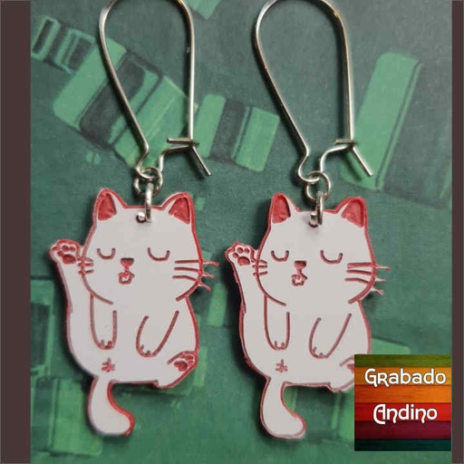 [argt04] aretes gato gatito que se limpia